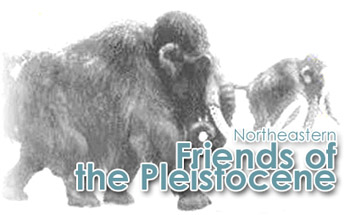 Friends of the Pleistocene