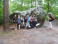Elephant Rock, Fontainbleau Forest